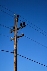 Electric pole with blue sky on the background
