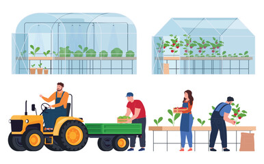 Cultivation of products in greenhouse conditions. Ecological agriculture. Useful fresh products. Vector illustration
