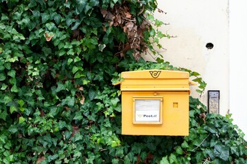 Beautiful shot of a yellow mail box surrounded by green leaves
