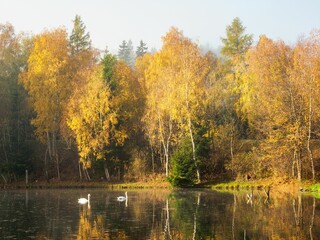 Scenic view of trees with orange leaves next to a lake located in Trautenfels, Austria