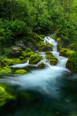 Obraz premium Landscape waterfall stream on river with mossy rocks and trees in Slovenia