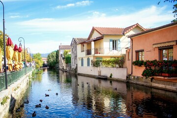 Flock of ducks in a canal with typical buildings in Venice