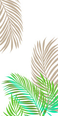 tropical tree leaves on white background