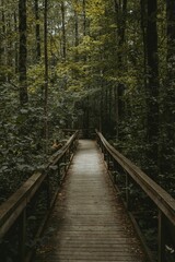 Vertical shot of a wooden boardwalk surrounded by foliage of a forest