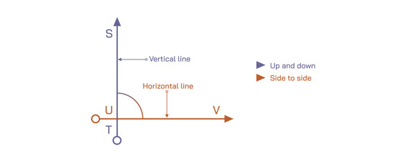 Vertical and horizontal line vector illustration. 2D coordination and 3D coordination system image. flat shape and object with height, width and length. Types of axes. Two dimensions and 3 dimensions.