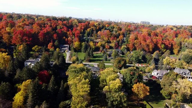 Aerial drone footage of the houses and autumn trees in Scarborough Bluffs, Canada