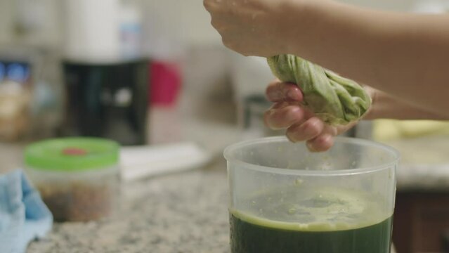 Closeup footage of a hand squeezing pennywort juice in a plastic bag