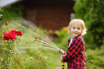 Funny little boy watering plants and playing with garden hose with sprinkler in sunny backyard. Preschooler child having fun with spray of water. Summer outdoors activity for kids. - obrazy, fototapety, plakaty