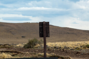 Guanaco de la Patagonia 