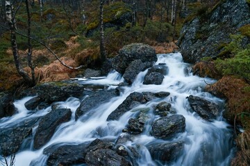 Long exposure of water flowing downhill through rugged rocks in a picturesque deep forest