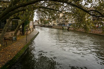 Fototapeta na wymiar Beautiful view of a river and tilted trees in Strasbourg, France