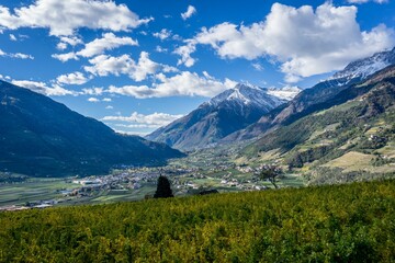 Natural view of greenfield, village, and mountain landscape in the countryside of South Tyrol, Italy