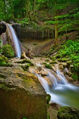 Vertical shot of a waterfall streaming in a forest