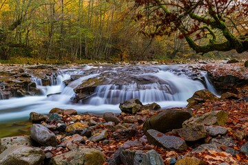 Fototapeta na wymiar Long exposure of a rocky creek in a forest