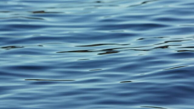 Scenic footage of the wavy surface of a lake with azure waves