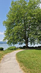 Fototapeta na wymiar Sommer Urlaub am schönen Bodensee mit blauen Himmel und Sonnenschein