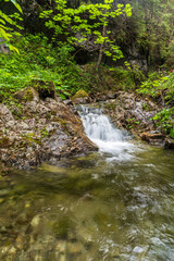 Small waterfall with pool bellow in Vyvieranie valley in Low Tatras mountains