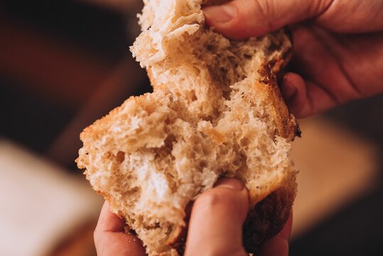 Closeup of a man tearing the freshly baked Italian bread on the blurred background