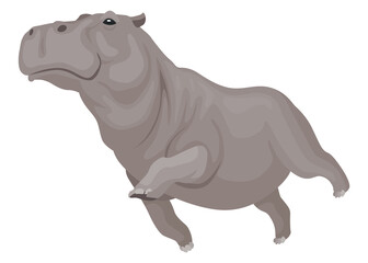 Hippo. Hippopotamus cartoon character. African animal, zoo and wildlife concept. Large gray wild creature walking on white background