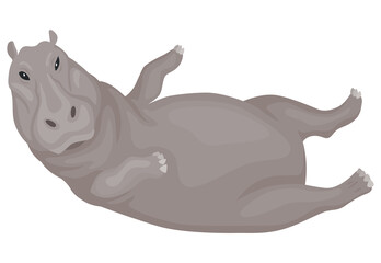 Hippo. Hippopotamus cartoon character. African animal, zoo and wildlife concept. Large gray wild creature lies on white background