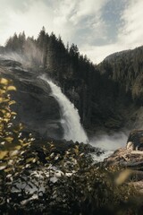 Flowing waterfall surrounded by dense trees