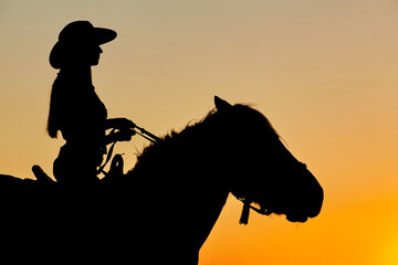 Naklejka premium Silhouette of Cowboy, ride on Arabian horse stallion in colorful sunset.