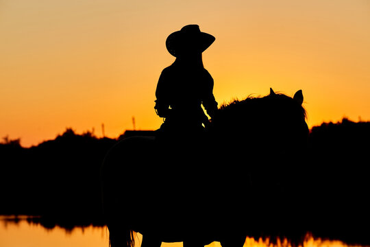 Silhouette of Cowboy, ride on Arabian horse stallion in colorful sunset.