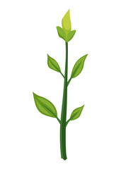 Fototapeta premium Sunflower growth stage, small sprout. Agriculture plant development. Harvest animation progression phase