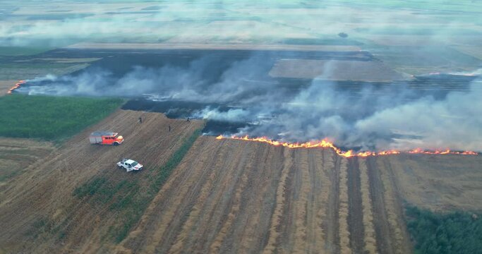 Field fire, dy grass buring among the green rice and wheat fields. Aerial view of the clear fire separation line and black layer of burning field and ash