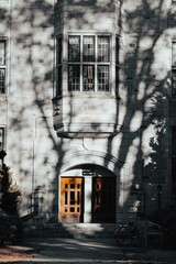 Vertical shot of a facade of an old building with tree shadows visible on it