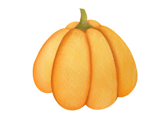 Beautiful hand painted watercolor pumpkin on isolated white background for halloween, Fall, autumn harvest, thanksgiving cards. Vegetarian cafes and restaurants with fresh vegetables on menu