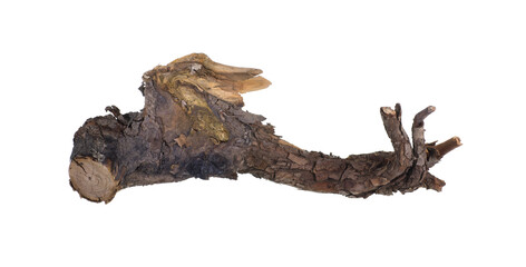 dried wooden root snag isolated on white background