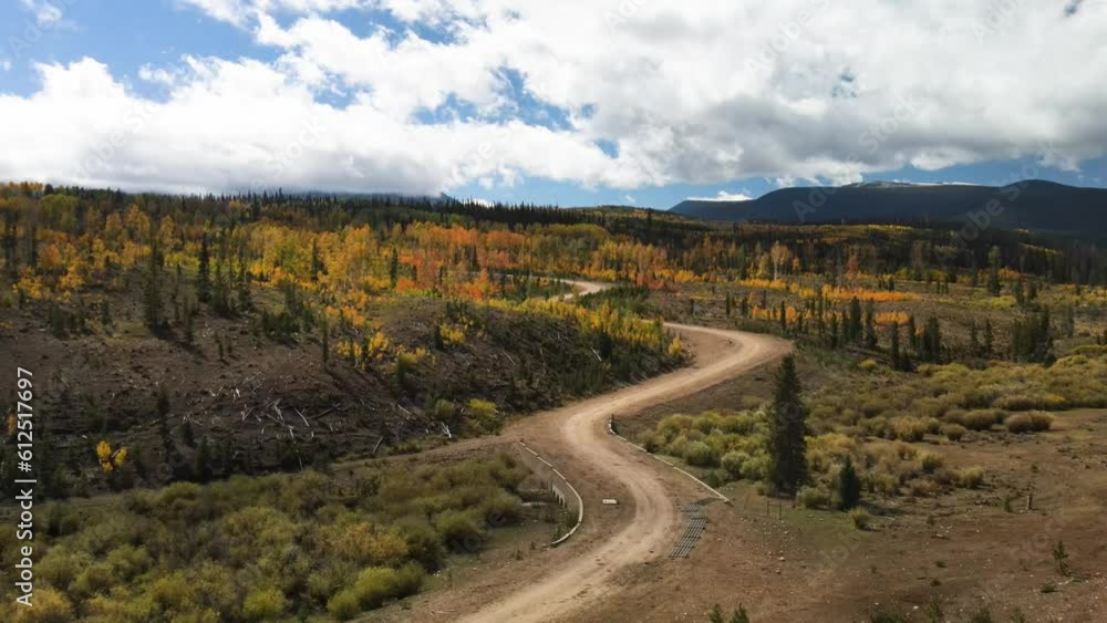 Poster scenic view of a road between evergreen hills with lush trees surrounded by mountains in colorado