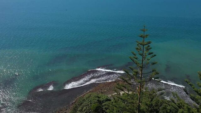 Coastal landscape in Torbay, New Zealand