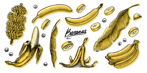 Banana fruit and palm leaves. Hand drawn with ink in vintage style. Linear graphic design. Detailed vegetarian food. Vector illustration for label, poster, print © artbalitskiy