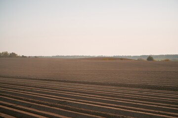 Agricultural land under a beautiful sky at sunrise. Rural areas and countryside in the morning.