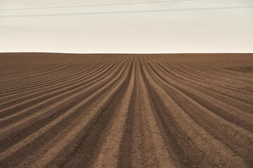 Fototapeta premium The agricultural landscape showcases the vast expanse of the field, which is prepared for farming and cultivation. The soil, rich and fertile, is the foundation for agricultural practices.