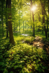 Fototapeta na wymiar Immerse yourself in a magical forest realm, where rays of sunlight pierce through the dense foliage, illuminating the lush greenery with an ethereal glow. Generative AI 