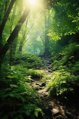 Fototapeta premium Nature's enchantment unfolds in a forest bathed in golden rays, as sunlight filters through the verdant canopy, casting a mesmerizing glow. Generative AI 