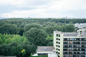 A high-rise housing estate in the forest. The concrete juts out of nature and you can see the city.