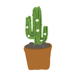 Cactus divider