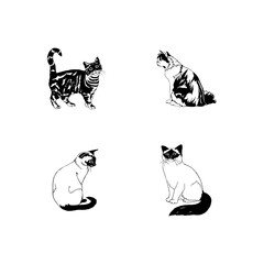 black and white cats vector icon