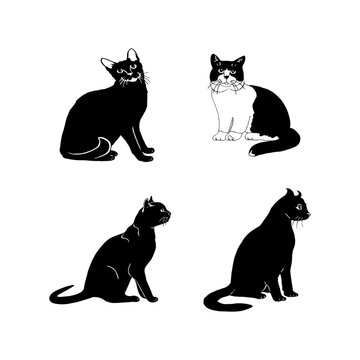 black cats silhouette