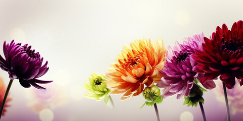 Floral background banner or wallpaper, colorful spring flower mix