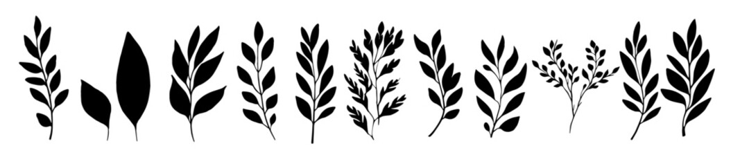 Collection of tropical leaves. A set of silhouettes of tree branches, palm leaves, eucalyptus. Floral vector ornament. Black and white floral background.