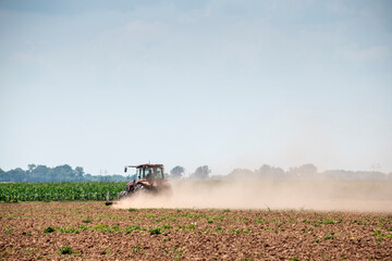 Naklejka premium Preparing to Plant in North Louisiana