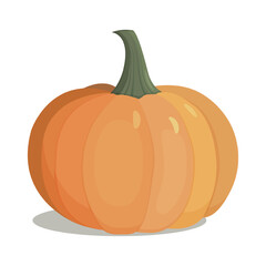 Autumn halloween pumpkin, vegetable graphic icon. Orange pumpkin vector illustration isolated on white background.