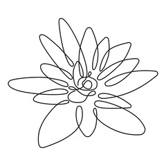 Flower lily, drawn in a single line. Vector. Suitable as an illustration for a poster