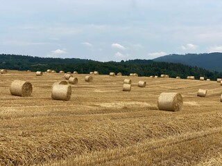 Fototapeta premium Round straw bales on a mown field with mountains in background under cloudy sky