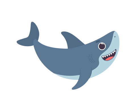 Underwater animal shark concept